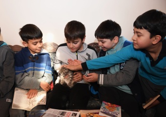 Öğrenciler Bu Kütüphanede Hem Kitap Okuyor Hem De Kedileri Seviyor