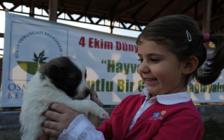 /projeler/sahipsiz-hayvanlar-dogal-yasam-merkezi-24/dsc-3373.jpg