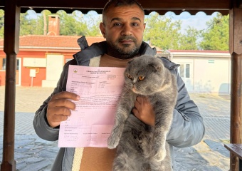 Can Dostlar Sıcak Yuvalara Kavuştu