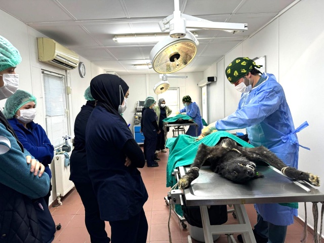 Osmangazi’de Can Dostlar Emin Ellerde