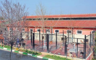 /projeler/sahipsiz-hayvanlar-dogal-yasam-merkezi-24/sahipsiz-hayvan-barinak-121.jpg